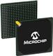 Microchip Technology APA600-BGG456